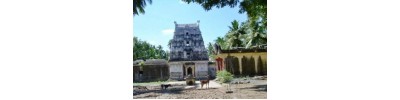 114. திருத்தருமபுரம்